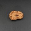 17 Mukhi Rudraksha - Indonesia
