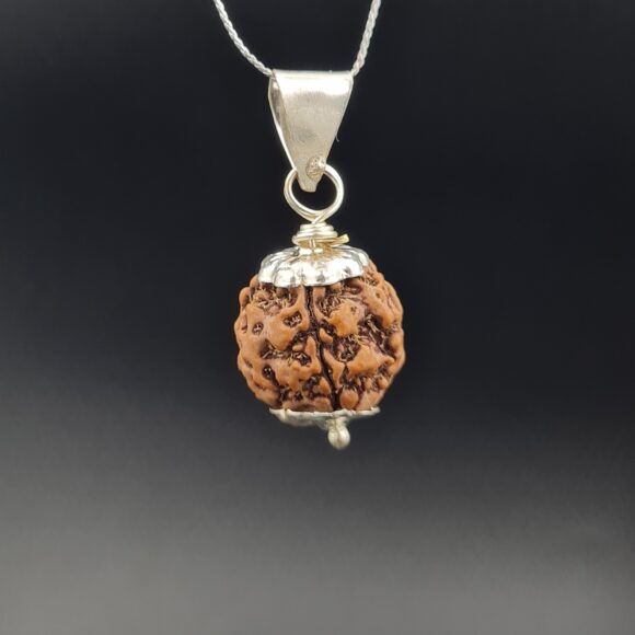 4 Mukhi Rudraksha - Nepal - Pendant