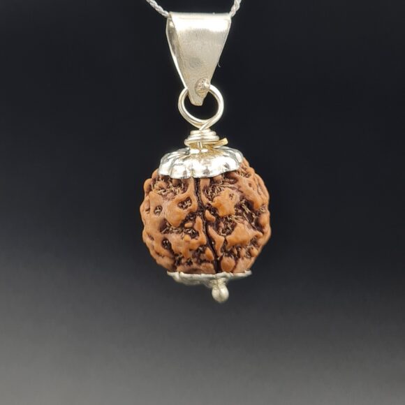 5 Mukhi Rudraksha - Nepal - Pendant