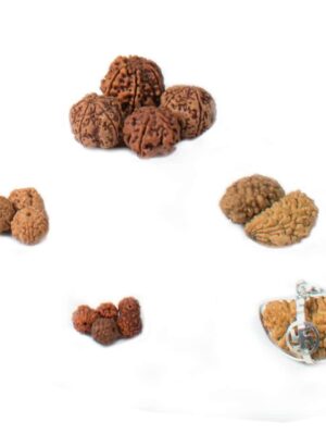 1 to 21 mukhi